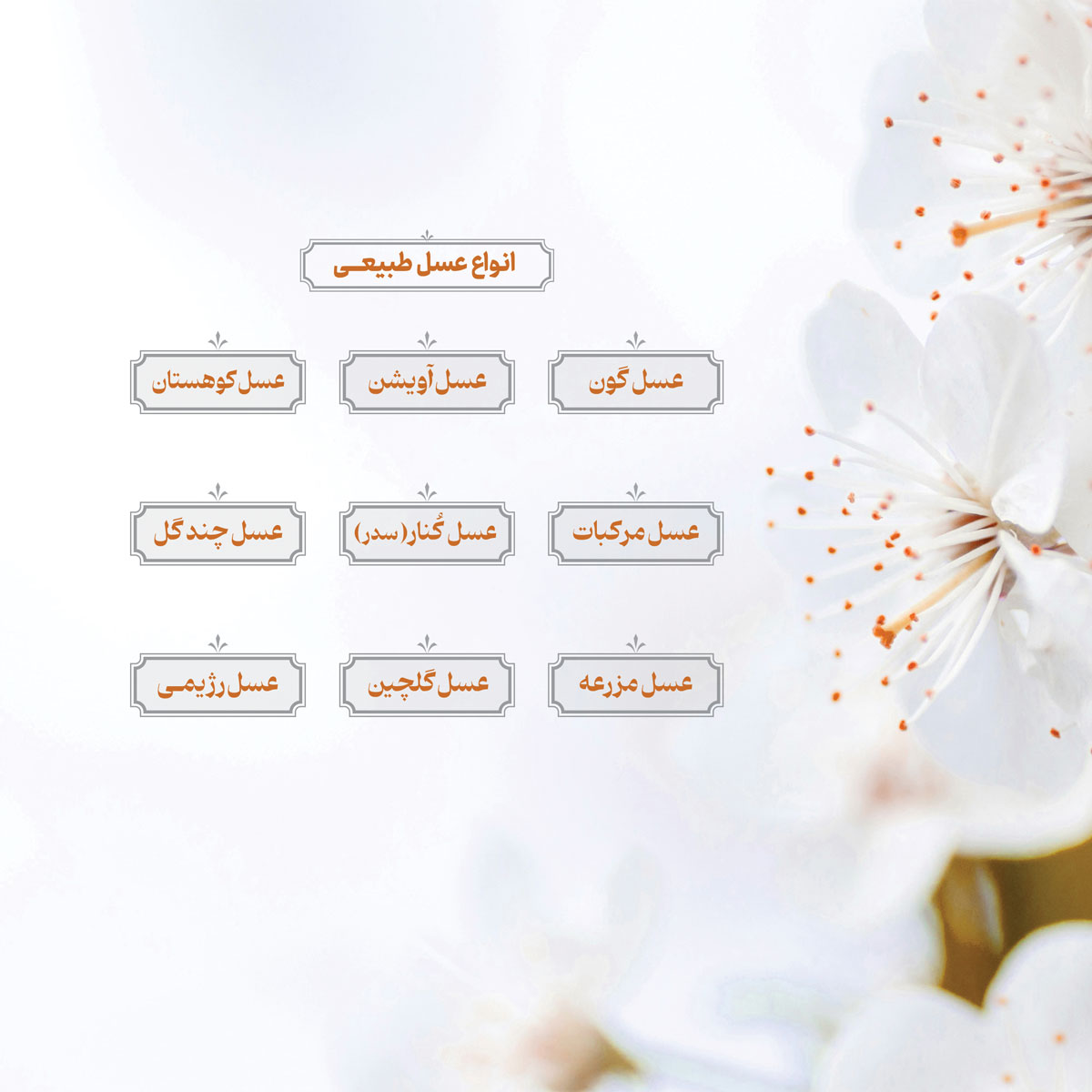 چرا اسم یک گیاه روی عسل  نامگذاری می شود ؟ مبنای نامگذاری عسل ها چیست ؟